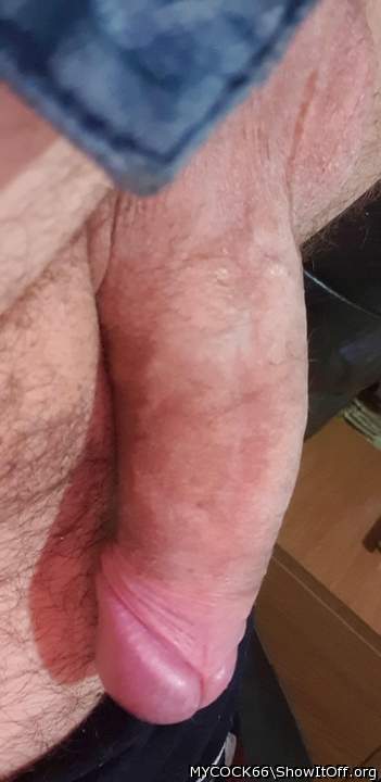 Adult image from MYCOCK66