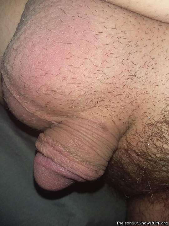 Adult image from Tnelson88