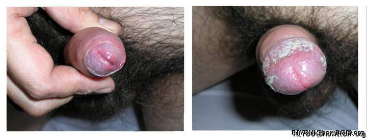 cheese&#12288;cock&#12288;docking