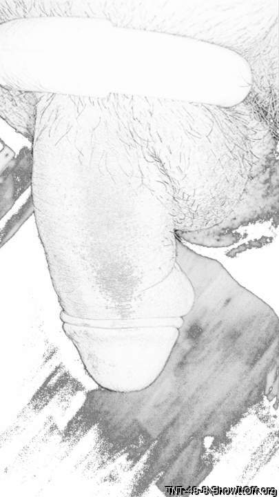 Adult image from TNT-48-8