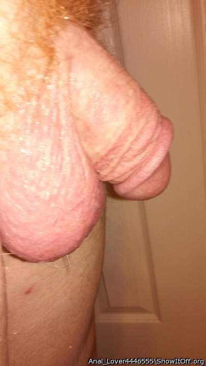 Adult image from Anal_Lover4446555