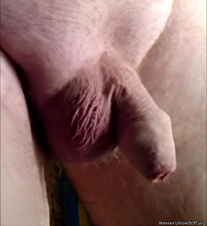 Adult image from Wessex