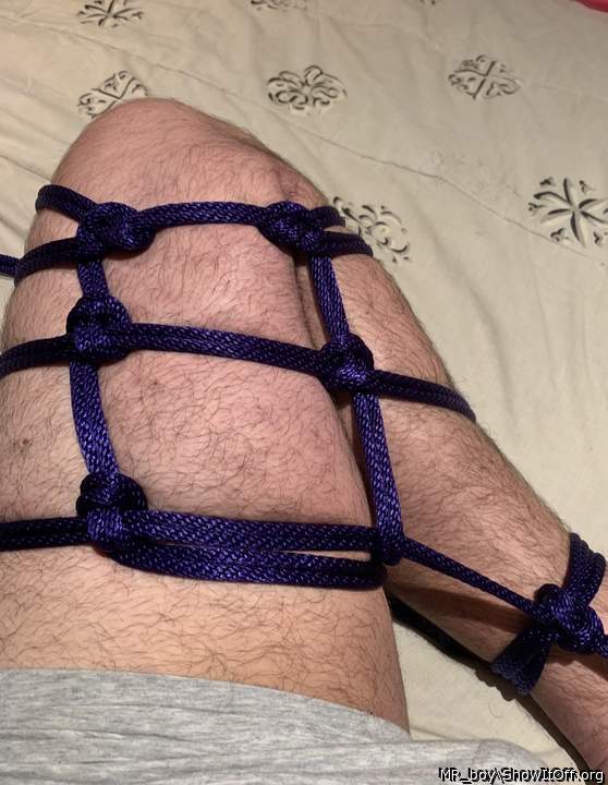 Adult image from MR_boy