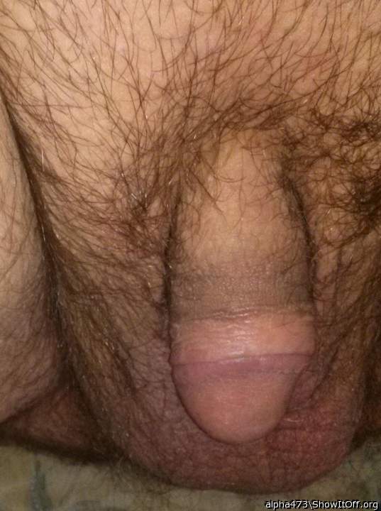 Adult image from alpha473