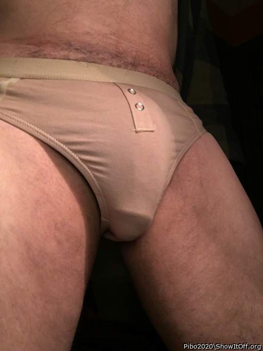 Adult image from Pibo2020