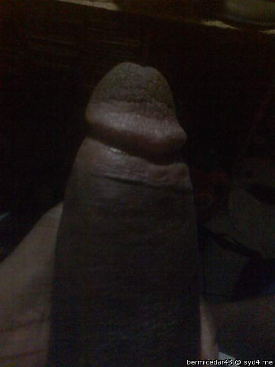 Adult image from bermicedar43