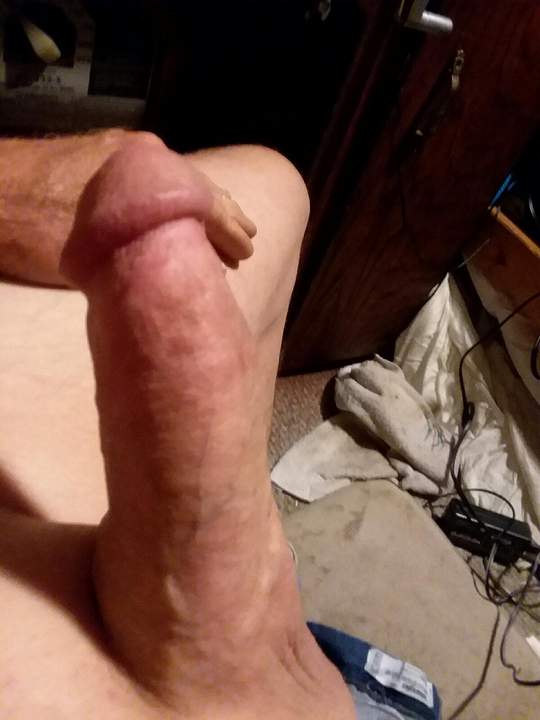 Adult image from fish4free