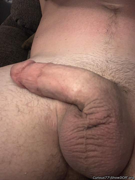 Adult image from Curious77
