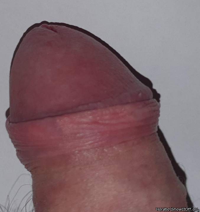 Adult image from Horatio
