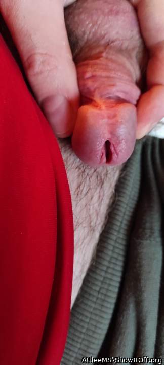 Adult image from AttleeMS