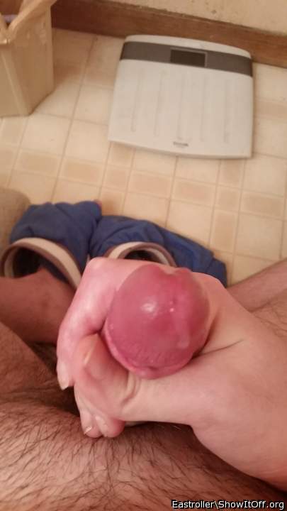 Adult image from *Humpy_Rugmuncher