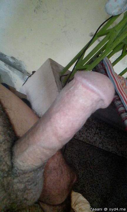 Adult image from faaani