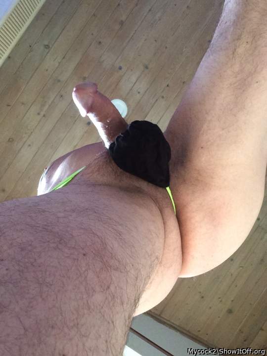 Adult image from Mycock2