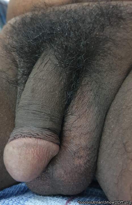 Adult image from Ccoconutman