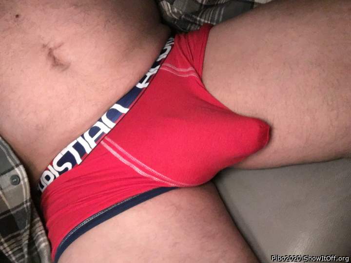 Adult image from Pibo2020