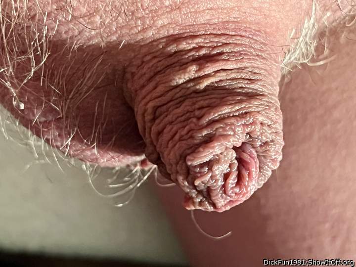 Adult image from DickFun1981