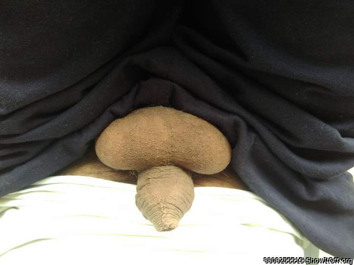 Adult image from 8808255515