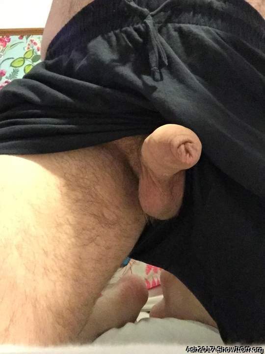 Adult image from Ash2017