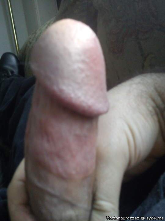 Adult image from Montanabrazzez