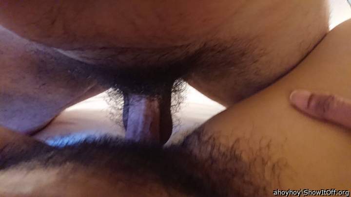 indian desi wife hairy pussy fuck