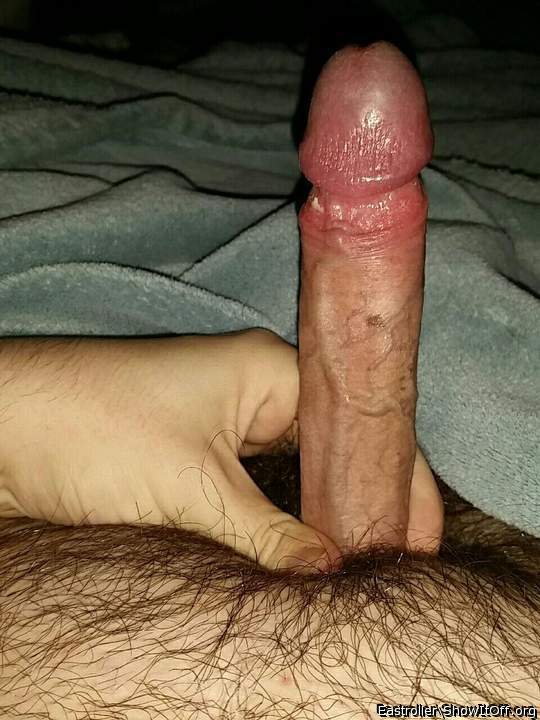 Adult image from *Humpy_Rugmuncher