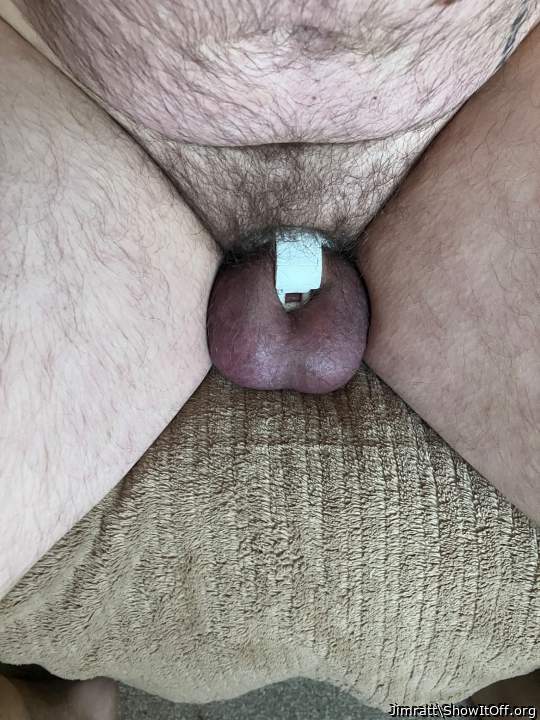 Adult image from Jimratt