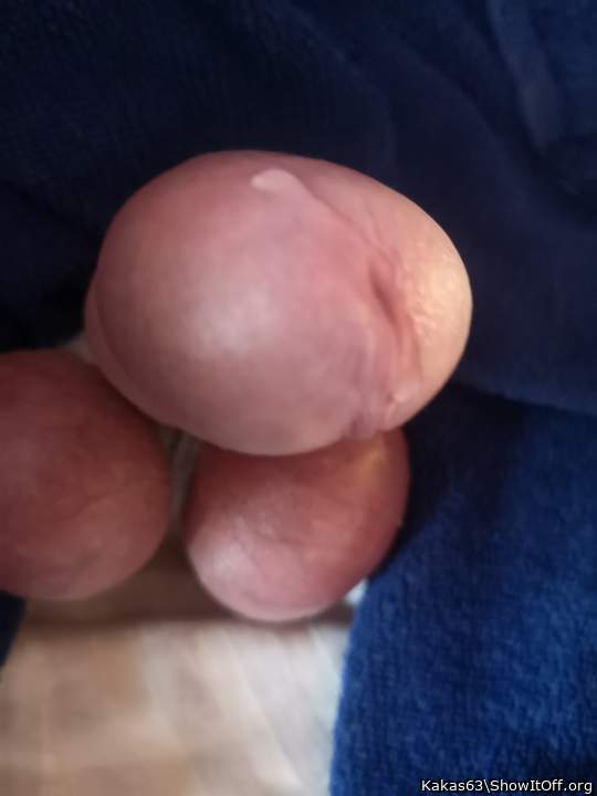 Adult image from Kakas63