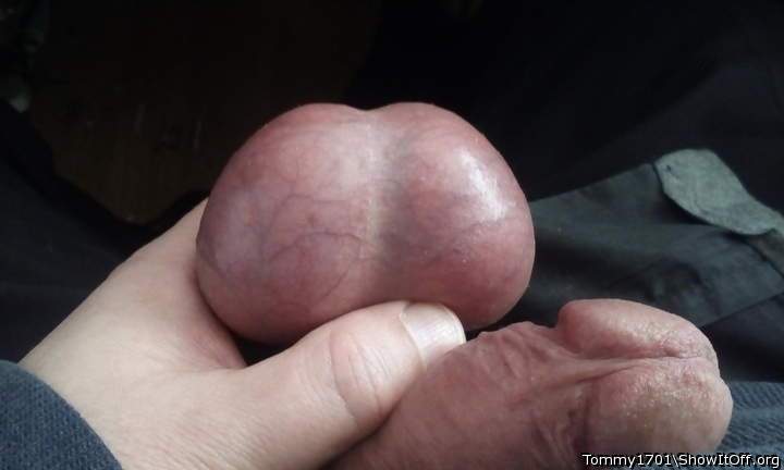 Adult image from Tommy1701