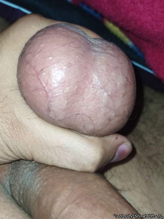grandes bolas. Parab�ns.