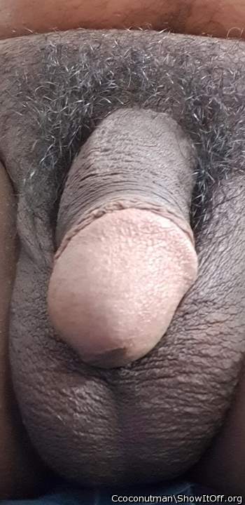 Adult image from Ccoconutman