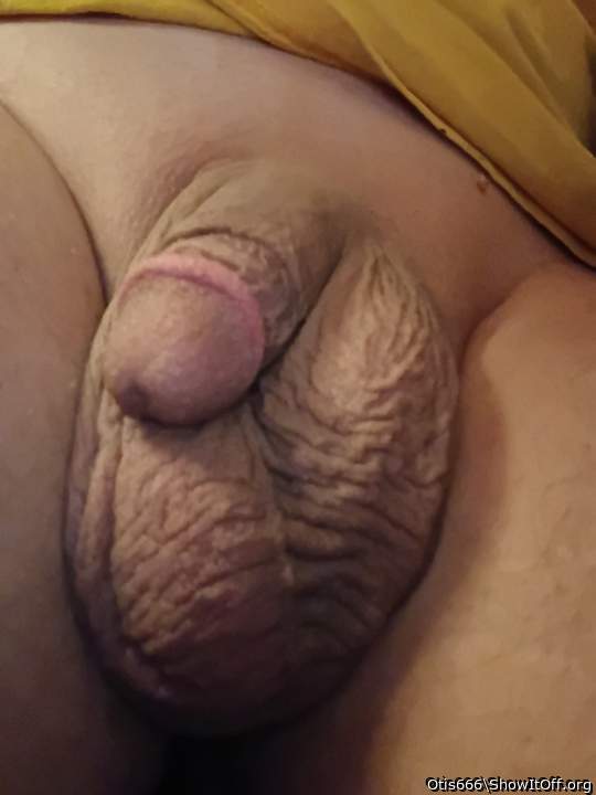 What a great view that�s a good looking cock. 