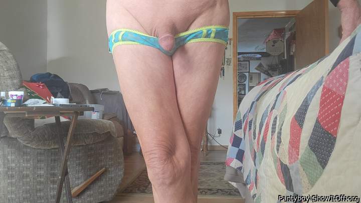 Adult image from Pantyboy