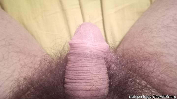 My little limp cock