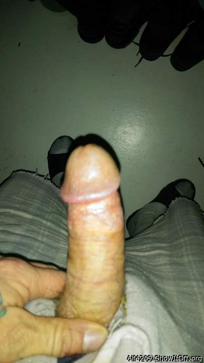 Adult image from Alf4269