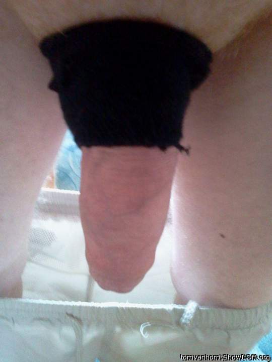 Adult image from tomvanhorn