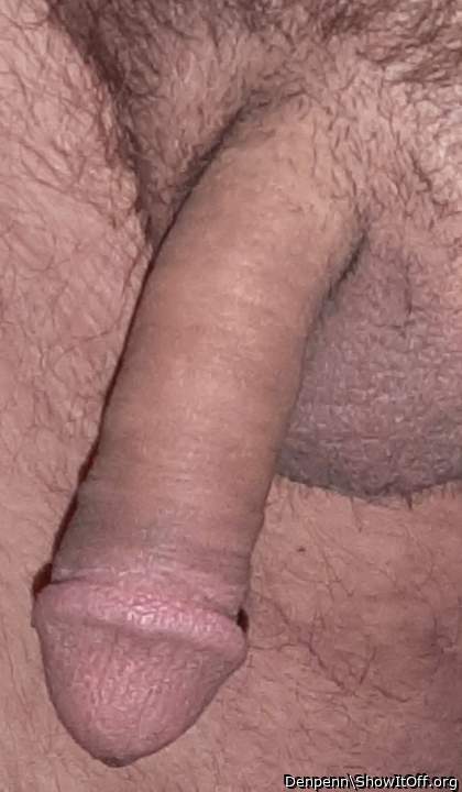 Adult image from Denpenn