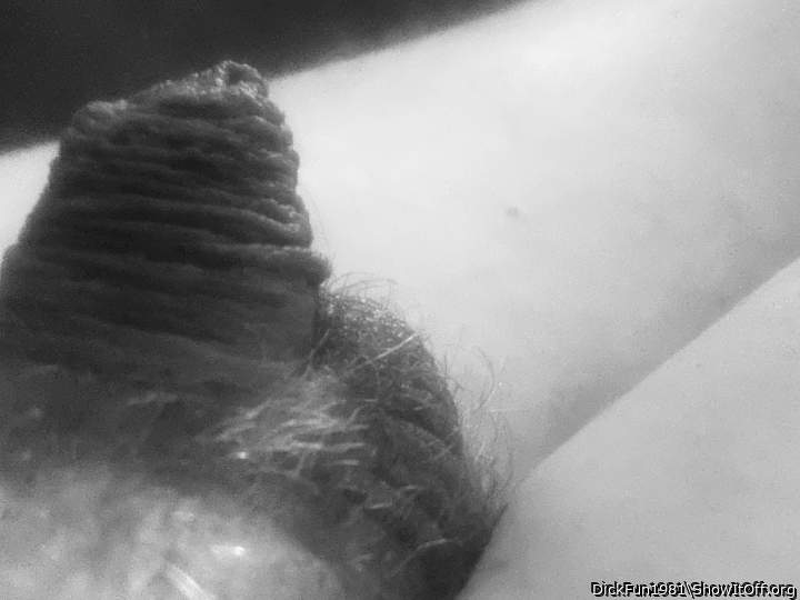 Adult image from DickFun1981