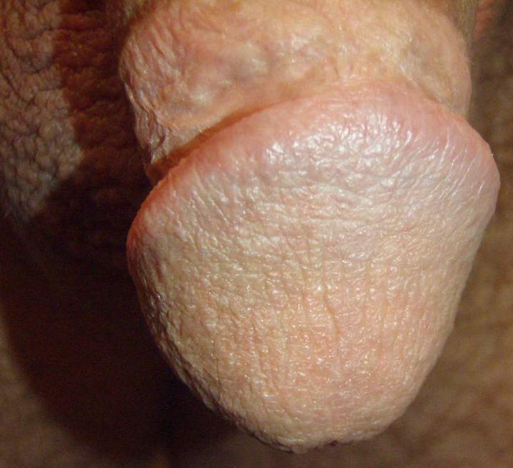 Adult image from lilsoftee