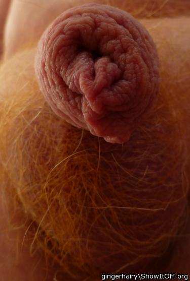 Adult image from gingerhairy