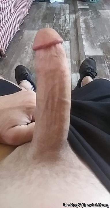 Adult image from Birddog7