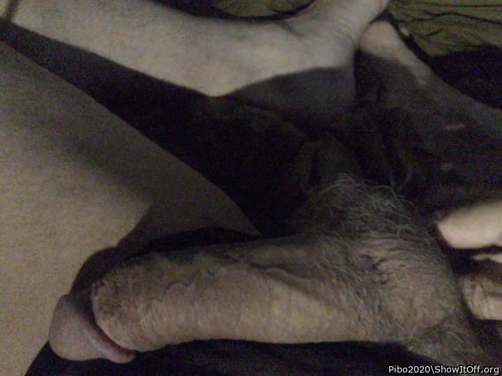 Adult image from Pibo2020