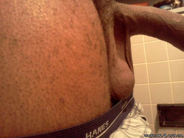 Adult image from blacksnake