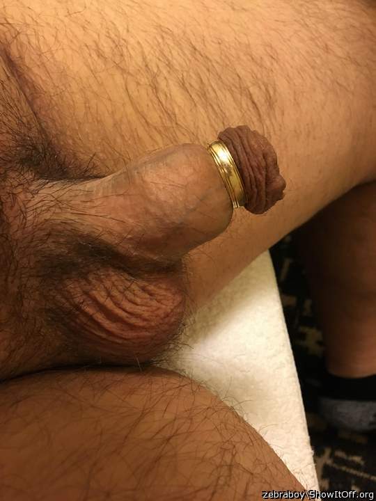 Adult image from zebraboy