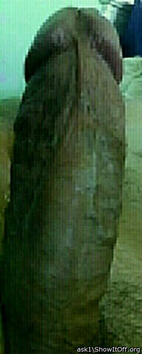 Adult image from ask1