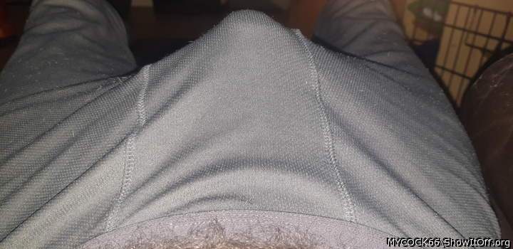 Adult image from MYCOCK66