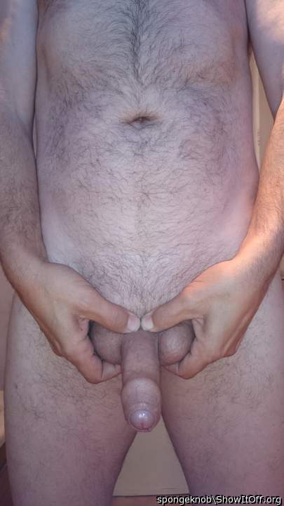 Adult image from spongeknob