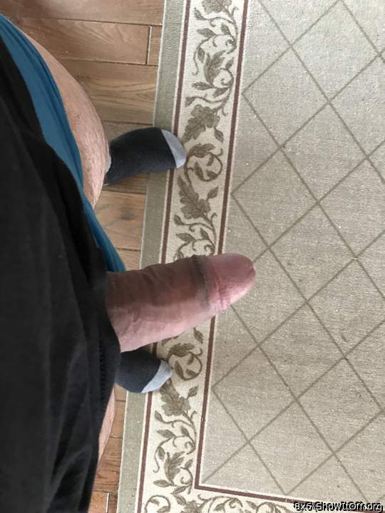 Adult image from 8x6