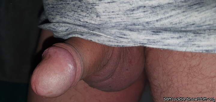 Adult image from Stiffcock59