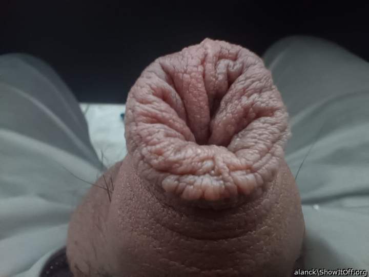 Adult image from alanck