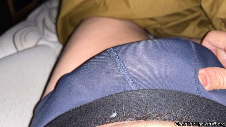 Adult image from Pibo2020